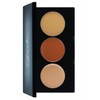 Sleek Makeup Corrector & Concealer Palette 4.2 g Pack of