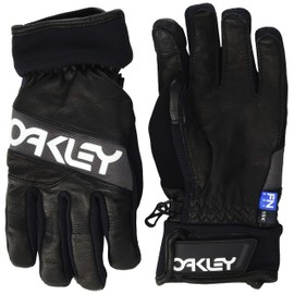Oakley Men's Factory Winter Gloves 2.0, Blackout, L