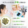【モリンガ本来の栄養素】モリンガタブレット 180粒 有機発行エキスと生きた乳酸菌を1粒に凝縮 モリンガ スーパーフード｜Seeds Wellness