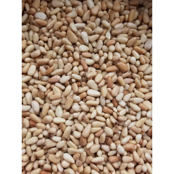 Shelled (out of shell) Roasted & Salted New Mexico Pinon Nuts 1 lb bag 2022 Crop