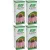 (4 PACK) - A Vogel - Echinaforce Drops | 100ml