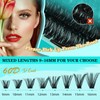 Lash Clusters Kit 240PCS Eyelash Extension Kits D Curl Wispy