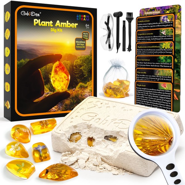 GobiDex Amber Dig Kit, Science Kits for Kids Age 6-8-12, Dig Up 6 Artificial Plant Resin Specimens, STEM Activities Educational Science Collection Toys, Archaeology Geology Gift for Boys&Girls Age 6+