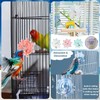 Wzenclave Parrot Spinner Toy, Funny Parakeet Toy Interactive Parrot Toy