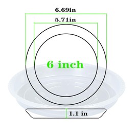 OVZILKI Plant Saucer 6 Pack of 4 6 8 10 12 14 16 inch, Clear Plastic Flower Plant Pot Saucer, Heavy Duty Plant Drip Trays Saucers for Indoor, Plant Water Tray for Planters (6", Clear)