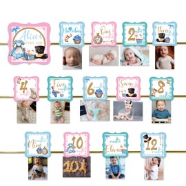 Alice in Onederland First Birthday Photo Banner, 12 Month Banner, Monthly Banner, Alice in Wonderland Birthday, Pastel & Gold Tea Party
