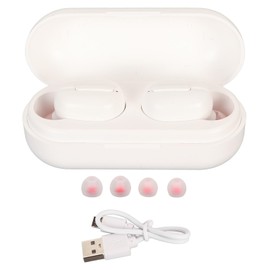 Language Translator Earbuds, Two Way Languages Translation Earpiece, Offline Noise Reduction Translating Earphone Real Time Bluetooth Instant Voice for Business Learning Travel