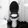 Renovators Supply Manufacturing Black Plastic Soft Close Toilet Seat Elongated