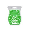 Scentsy Coco Lime Bar