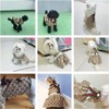 DEAUVIOR Elegant Dog Clothes Pet Dress Puppy Spring Clothes Cute