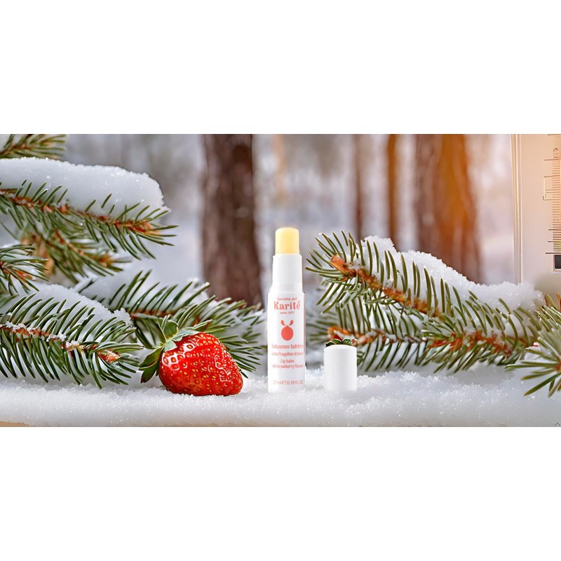 Lippenbalsam mit Sheabutter und Hyaluronsäure – Aroma Walderdbeeren, 5,7 ml,