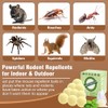 Natural Peppermint Oil Rodent Repellent Balls - 8 Pack