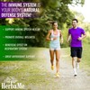 HerbaMe Advanced Immune System Booster 15 in 1 with Elderberry,