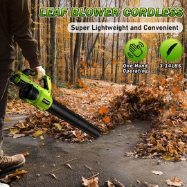 RYAHT Leaf Blower Cordless, 21V Powerful Electric Leaf Blower with 2 X 4.0Ah Batteries and Charger, 2 Speed Modes, Handheld Lightweight Leaf Blowers for Lawn Care, Patio, Dust, Blowing Leaves, Green