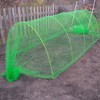 easynets Anti Butterfly Netting 2m Wide (2m x 5m) Free
