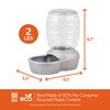 Petmate Replendish Feeder with Automatic Cat and Dog Feeder Grey,