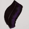 Oleo Van Gogh 536 Violet
