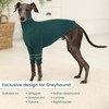 OUOBOB Greyhound Dog Sweater, Italian Greyhound Coat for Large Dogs,
