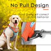 ThinkPet Dog No-Pull Sports Harness with Handle, for Medium and