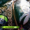 VARIVAS Line Max Power PE X8, Lime Green, 688.4 ft