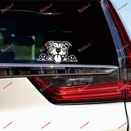 Pit Bull Terrier Dog Pitbull Peeking Vinyl Decal Sticker Black - 3 Pack Glossy, 3 Inches, 4 Inches, 6 Inches - for Car Back Window Laptop Cup
