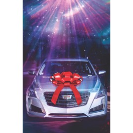 CarBowz Big Merry Christmas Car Bow, Giant 30" Bow, Non Scratch Magnet, Weather Resistant Vinyl (Gold)