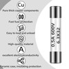 Kingdder 10 Pcs 0.5A 600V DMM Fast Blow Action 500mA