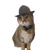 Large Indiana Jones Fedora for your Cat, Indiana Jones hat