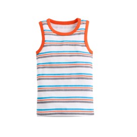 HUAER& Toddler Boys' 2-3 Pack Tank Tops (Dinosaur 2, 5T)