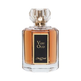 Diane Castel Very Oud - Woody Amber Fragrance - Perfume for Women - Women Perfume with Vanilla, Raspberry, Rose, Lychee, Leather, and Musk - 3.3 oz