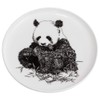 Maxwell & Williams DX0528 Giant Panda Plate - Black and