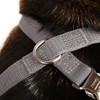 Reddy Grey Reflective Dog Harness, Medium