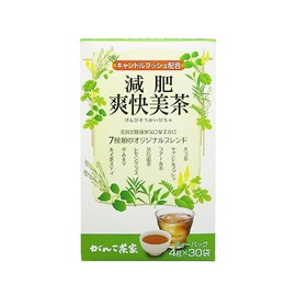 Ganko Chaya Brewing Tea, 1 Box (30 Bags), Herbal Tea Tea (1 Bag, Refreshing Brewing Tea L Type)