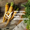 Yellow Carrot Garden Seeds - 1 g ~600 Seeds -