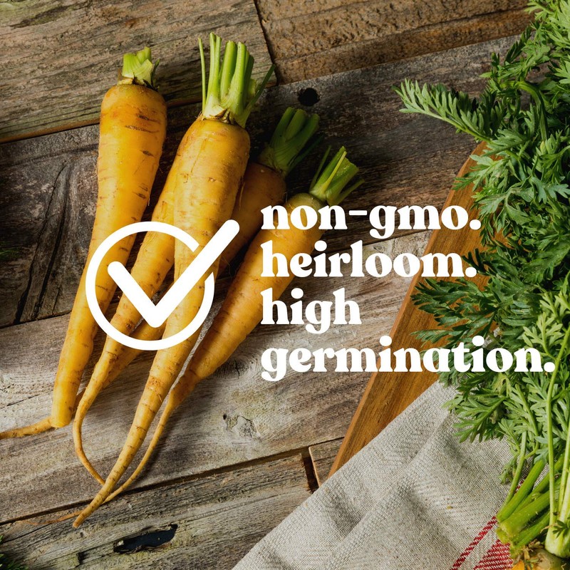 Yellow Carrot Garden Seeds - 1 g ~600 Seeds -