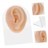 Healvian Realistic Fake Ear Model Earring Practice Body Parts Hypoallergenic