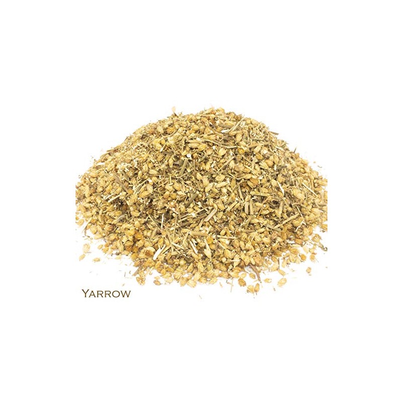 Yarrow and Green Tea Herbal Infusion (Gyokuro - 25 Unbleached