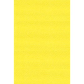 Eskent 27021501 Colored Drawing Paper, Rib Color, A5, Canary Yellow, 100 Sheets