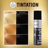 Red by Kiss Tintation Temporary Hair Color Spray, Instant Gray