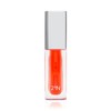 2AN Lip Oil Fall in Hibiscus 3g / 투에이엔 립 오일 폴 인 히비스커스 3g