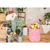 VAIVUSTO Easter Bunny Baskets for Kids Boys and Girls Easter
