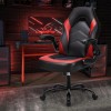 HOMEFLA Computer Gaming Desk Chair Ergonomic Lumbar Support with Flip-up