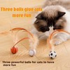 3 PCS Cat Bouncy Ball with Feather,Cat Feather Toys, Feathered