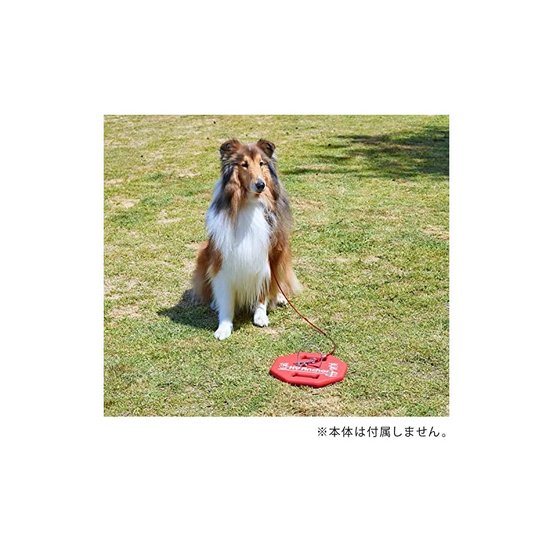 [OFT] K9 Anchor (35.4 inches (90 cm) Wire)