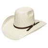 RESISTOL Hooey Collection Pecos Straw Cowboy Hat Tan,Green