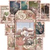 Kyoto Oracle Card Kyoto Oracle Deck, For Beginners, Cute