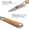 HOSHANHO Damascus Paring Knife 3.75 Inch, Professional 67 Layers Damascus