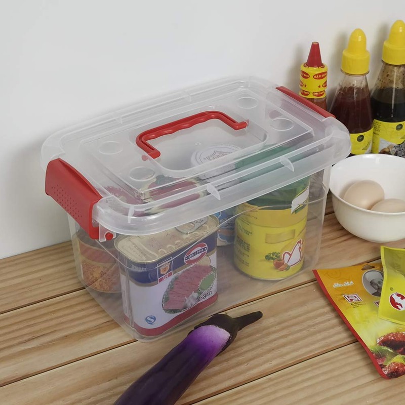 Doryh 5 L Plastic Storage Bin with Lid, Clear Transparent
