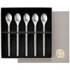 Asahi TW-8 Coffee Spoon, Titanium, 4.8 inches (123 mm), Set