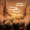 LED Plant Grow Light 5 Dimmable Modes 4 Head Timing